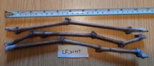 GRAPE "LADYFINGERS WHTIE" 3 grape vines cuttings - Picture 1 of 3