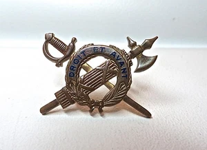 Vietnam Issued US Army Lapel Inspectors General Emailled Lapel Pin - Bild 1 von 5