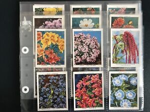 karty papierosowe kwiaty ogrodowe 2. seria 1939 pełny zestaw