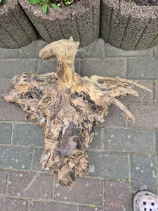 SKULPTUR Wurzel Stamm Holz Baum Deko Unikat 52 x 52 x 28 cm - Bild 1 von 8