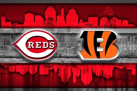 Cincinnati Sports 24x36in Poster Cincinnati Reds Cincinnati Bengals Free Ship Cover