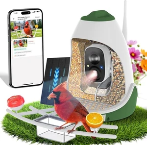Smart Bird Feeder with AI Camera – HD Live View, Auto ID, App Alerts, WiFi Ready - Picture 1 of 9