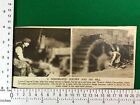 Demobilized Soldier Lance Corporal Loder Newton Abbot 1920 Cutting Water Mill