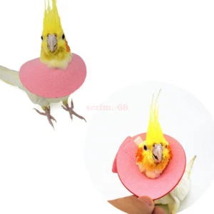 Bird Neck Sleeve Bird Recovery Collar Bird Cloak Parrot Elizabethan Circle NEW - Picture 1 of 12