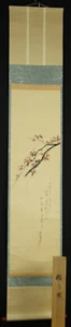 Cuadro en rollo japonés Sakura Kakemono Kakejiku Hanging Scroll Japón pintura 6112 - Imagen 1 de 12