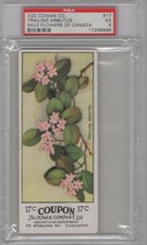 1920 Cowan Co. V20 Wild Flowers of Canada #17 Trailing Arbutus Graded PSA 5