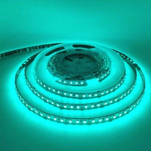 16.4FT Super Bright Cool Ice Green SMD 2835 600 LED Strip Light Home Decor DC12V - Picture 1 of 13