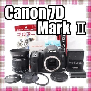 Canon EOS 7D Mark II Camera Lens Set Used Fast Continuous Shooting Japan - Picture 1 of 12
