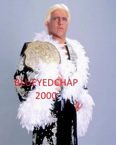 RIC FLAIR WRESTLER 8 X 10 WRESTLING PHOTO NWA WCW WWF - Image 1 of 1
