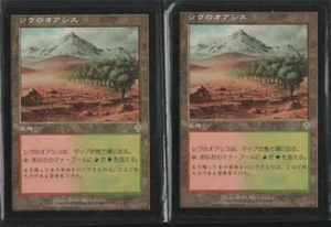 Shavan Oasis 2-MTG FBB Neuwertig Unbespielt Aliz - Bild 1 von 1