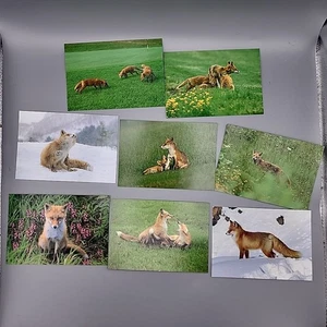 8 POSTALES: Adorables cachorros de zorro rojo - Imagen 1 de 3