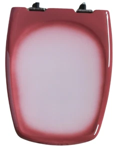 Selles Cheverny Toilet Seat and Cover in LILAS JASPE with GOLD hinges ORIGINAL - Picture 1 of 5
