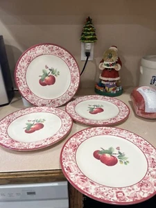 4 Pfaltzgraff Delicious Melamine (Plastic) dinner plates - Picture 1 of 1
