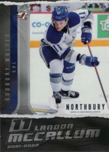 2021/22 Sudbury Wolves - LANDON McCALLUM - Picture 1 of 2