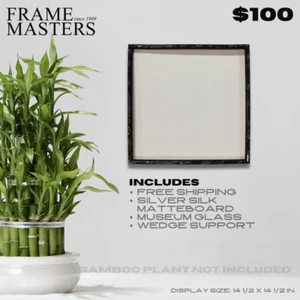 BAMBOO - Silver Silk Matteboard Museum Glass Wedge Supported Picture Frame - Picture 1 of 4