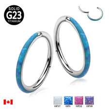 1PC G23 Titanium Hinged seamless opal Segment Ring septum Nose clicker Earring 