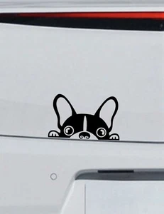 Adesivo Peeking cane francese nero vinile decalcomania finestra auto peel and stick - Foto 1 di 5