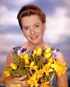 Deborah Kerr 8x10 Photo 003 - Foto 1 di 1