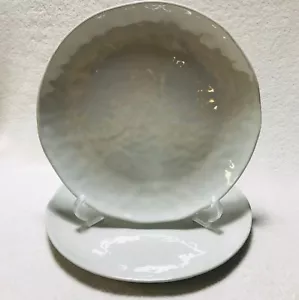 Tahari Gray Textured MELAMINE Dinner Plates Set Of 2 - Picture 1 of 5