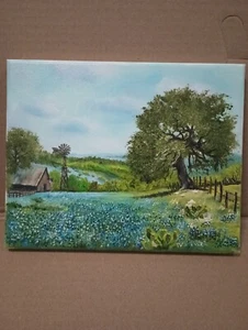 Schönes einzigartiges Bluebonnet Windmühle Bauernhaus Flaggengemälde 🎨 - Bild 1 von 5