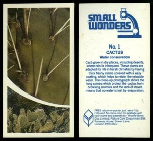 Cactus #1 Small Wonders 1981 Brooke Bond Tea Card - Picture 1 of 1