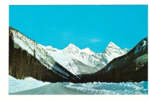 Trans-Canada Highway Through Selkirk Mtns, Glacier BC, Vintage Chrome Postcard - Picture 1 of 2