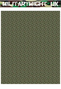 1 32 / 1 35 SCALE MILITARY WW2 CAMO TARPS GERMAN FALLSCHIRMJAGER  DIORAMA SHEET - Picture 1 of 2