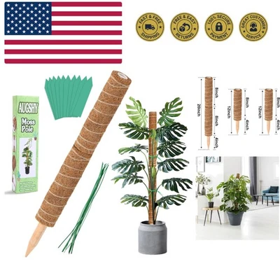 Poste de musgo - Tótem de fibra de 20 pulgadas para enredaderas interiores Monstera planta Su... Foto 1 de 4