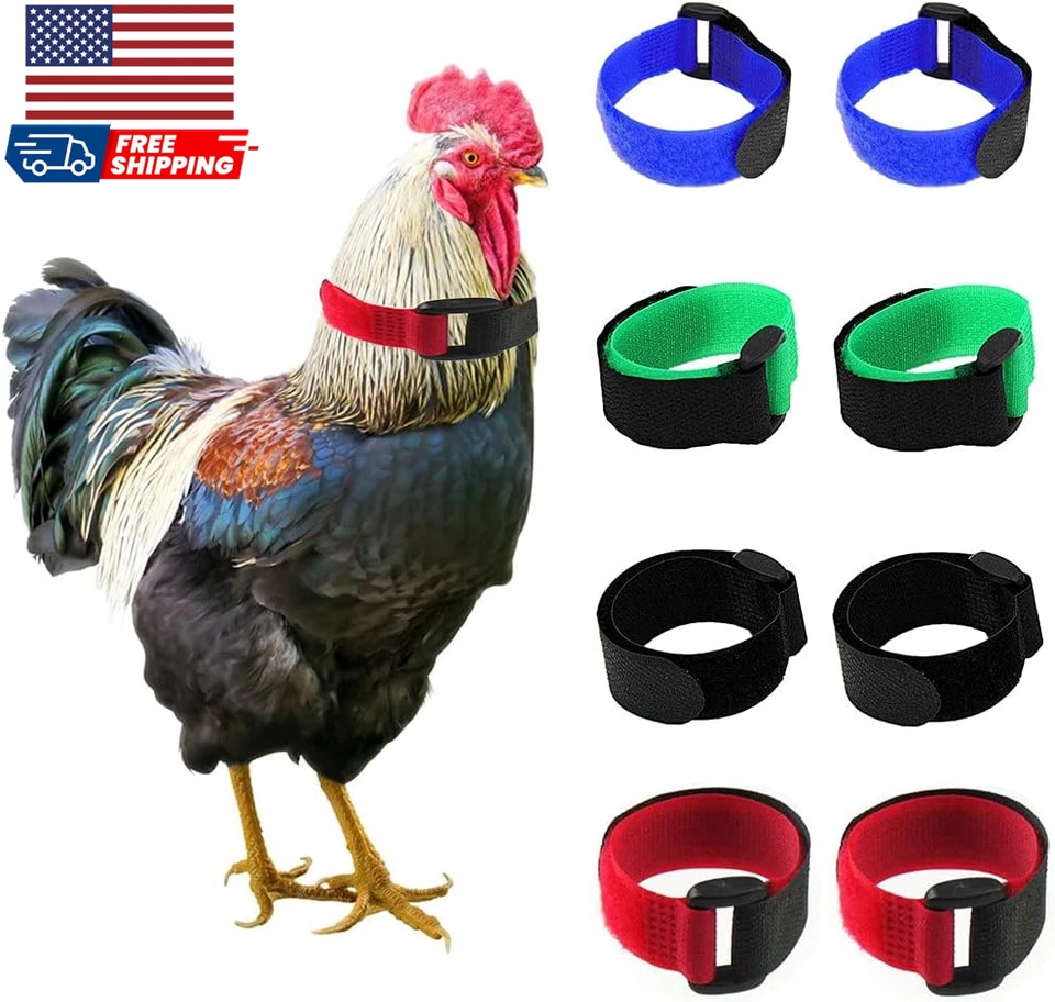 Paquete de 8 collares de gallo Tkocisa sin cuervo collar de pollo anti-gancho ruido Foto 1 de 4