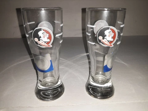 Florida State Seminoles Clear Tall 4"  Shot Glass ( set of two ) Cover