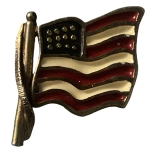 Vintage American Flag Souvenir Pin - Picture 1 of 2