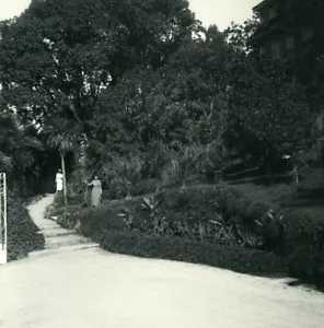 Italy Lake Maggiore Pallanza Eden Hotel Gardens Possemiers Stereoview Photo 1900 - Picture 1 of 3