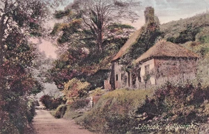 FGH 1908 Postcard, Old Cottage, Hollycombe, Liphook, Hampshire - Picture 1 of 1