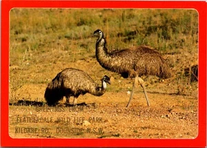 Greetings from Featherdale Wild Life Park Australia Continental Postcard - Picture 1 of 2