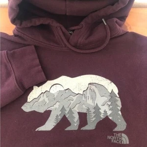 The North Face Men’s Maroon Small Fleece Lined Distressed Bear Hoodie Pullover - Picture 1 of 16