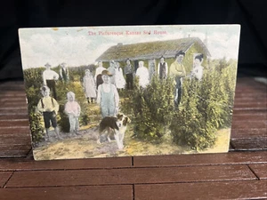 Postal de colección The Picturesque Oberlin Kansas Sod House Farmers Homesteaders - Imagen 1 de 7