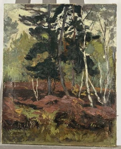 Ancienne huile sur toile signée : paysage fauviste début XXe fauve fauvisme - Imagen 1 de 11