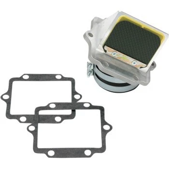 Válvula de rueda Boyesen válvula de caña RAD-24 para 1990-1992 Suzuki RM 250 Foto 1 de 1