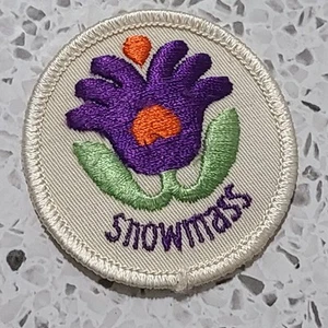 Snowmass Colorado Ski Patch Embroiderd Souvinier Skiing Aspen - Picture 1 of 3
