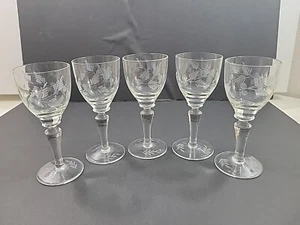 5er Set Arcadia Electra Cordial Glas geätzt Bargeschirr - Bild 1 von 7