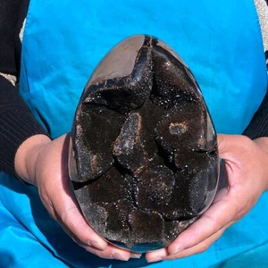 5,23 Pfund große natürliche schöne Schildkröte Rückenloch Quarz Kristall Ei Heilung - Bild 1 von 14