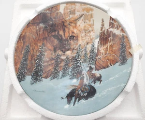 Bradford Exchange "Canyon del gatto" I volti della natura 1992 #148M 8" - Foto 1 di 7