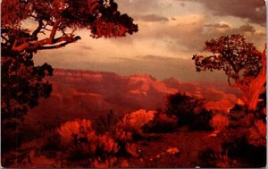 Postcard Grand Canyon Hopi Point - Picture 1 of 2
