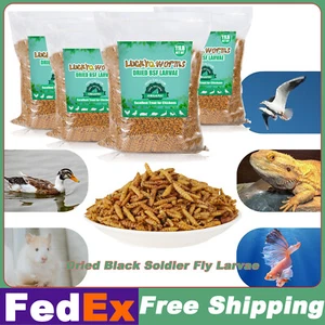 Bulk Dried Black Soldier Fly Larvae BSF Food for Chickens Wild Birds Turtles Lot - Picture 1 of 11