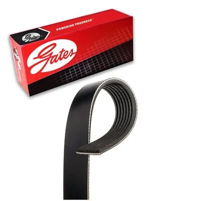 Cinturón Gates Serpentine para Chevrolet Malibu 2008-2010 Foto 1 de 3