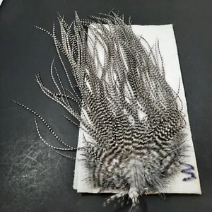 Dyed Med Gray Dun Grizzly Saddle Hackle Piece THIN DRY FLY TYING HAIR FEATHERS 3 - Picture 1 of 4