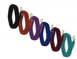 Heavy Duty 25' Web Lunge Line with Padded Handle Replaceable Brass Snap - Picture 1 of 7