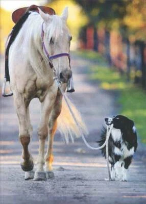 AVANTI PRESS Dog And Horse Walking Deluxe Matte Blank Note Card - Greeting Card by Avanti