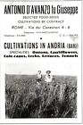 Pubblicita' 1945 Antonio D'avanzo Coltivazioni Semi Agricoltura Roma Andria Bari