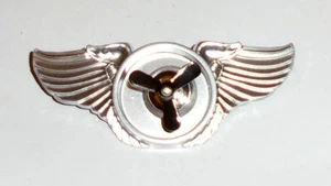 Drone Fighter Pilot Racer Player League Captain Wing Jacket Hat Pin Race Badge S - Picture 1 of 4